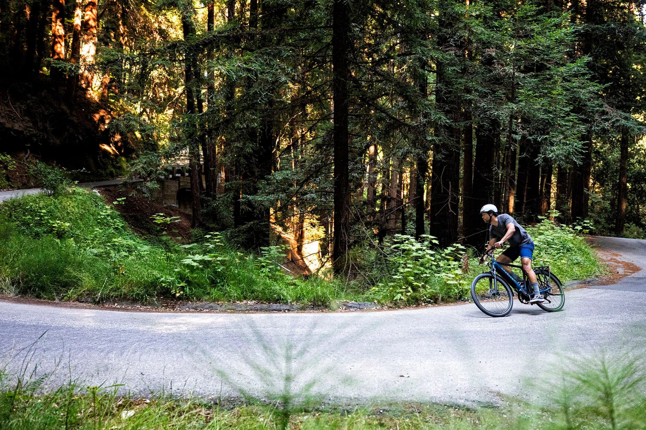Gazelle E-Bikes