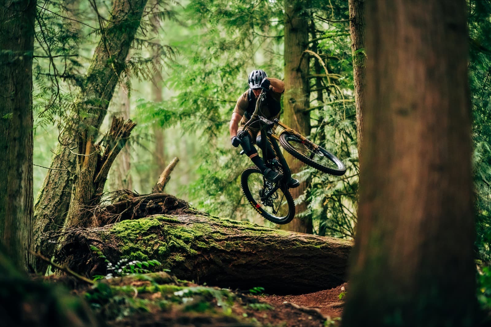 Pivot Cycles mountain bike