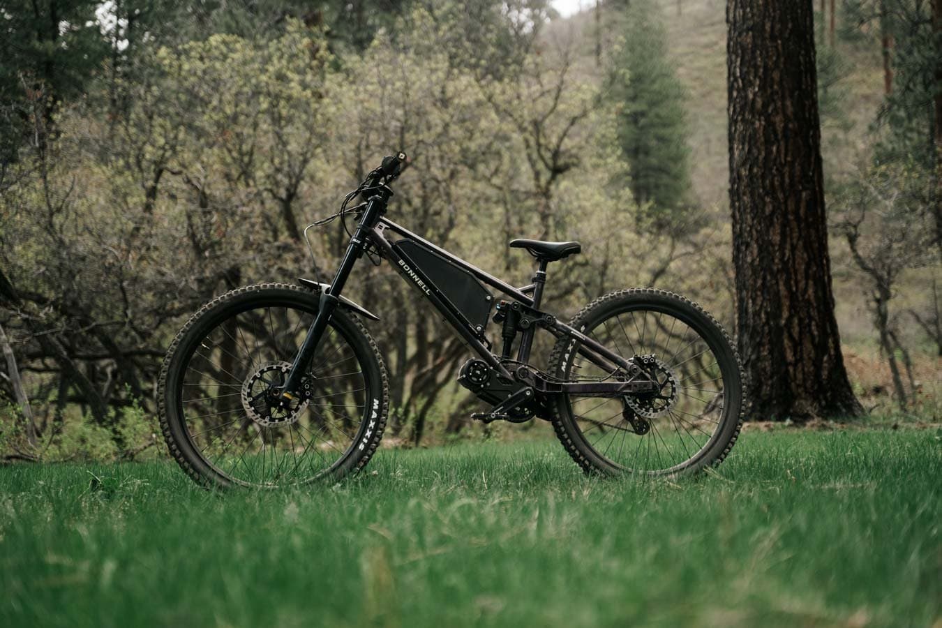 Trail riding through the woods