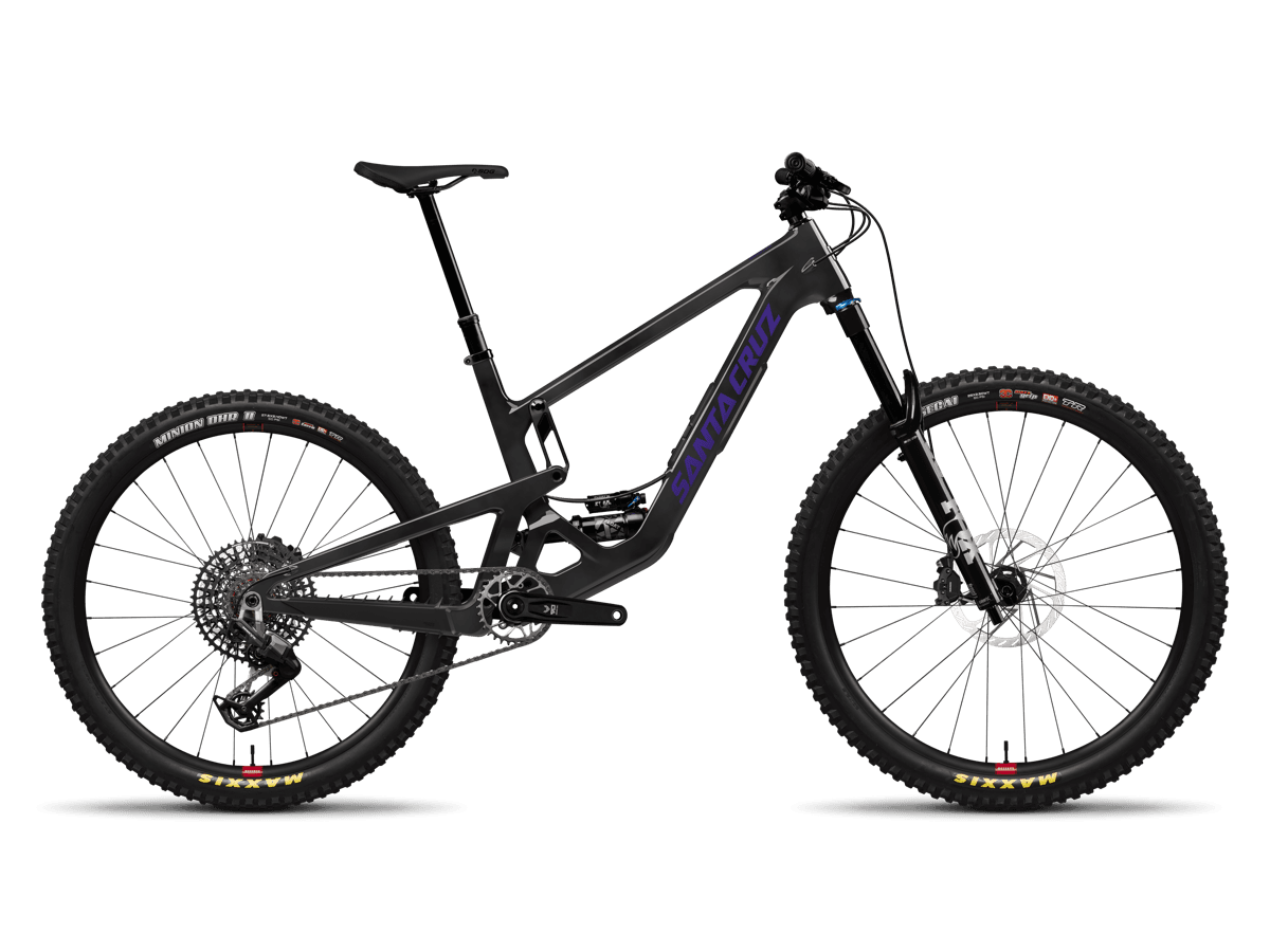 Santa Cruz Bronson