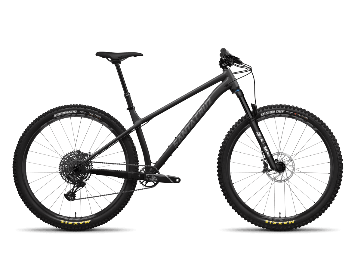Santa Cruz Chameleon