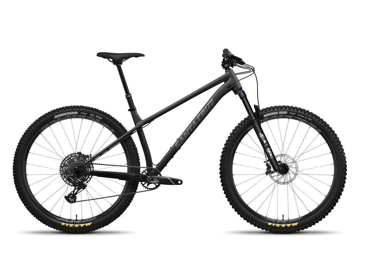 Santa Cruz Chameleon